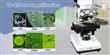 SVBONY MICROSCOPIO BINOCULAR 40-2500X